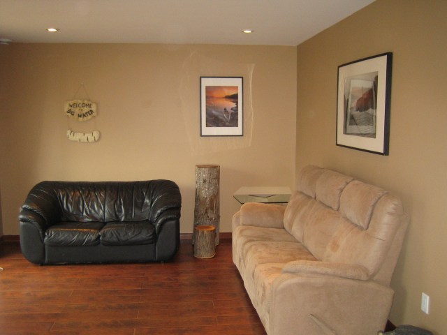 Salle de séjour-rez-de-jardin (1)