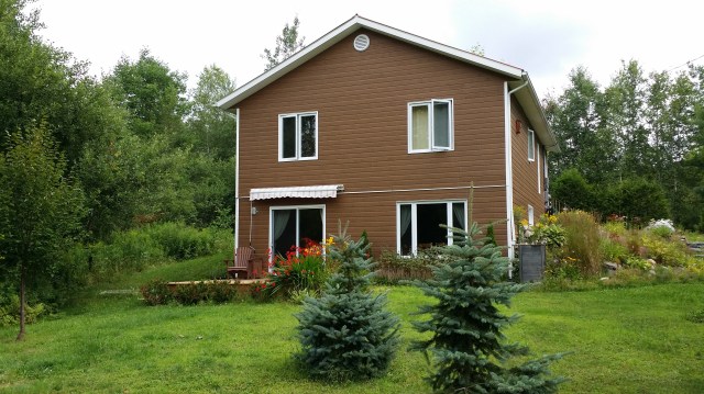 vue arrière milieu de terrain